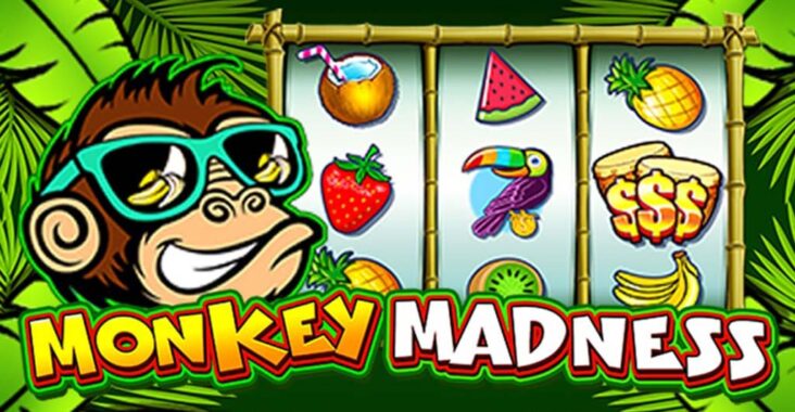 Info Seputar Game Slot Online Winrate Tertinggi Monkey Madness